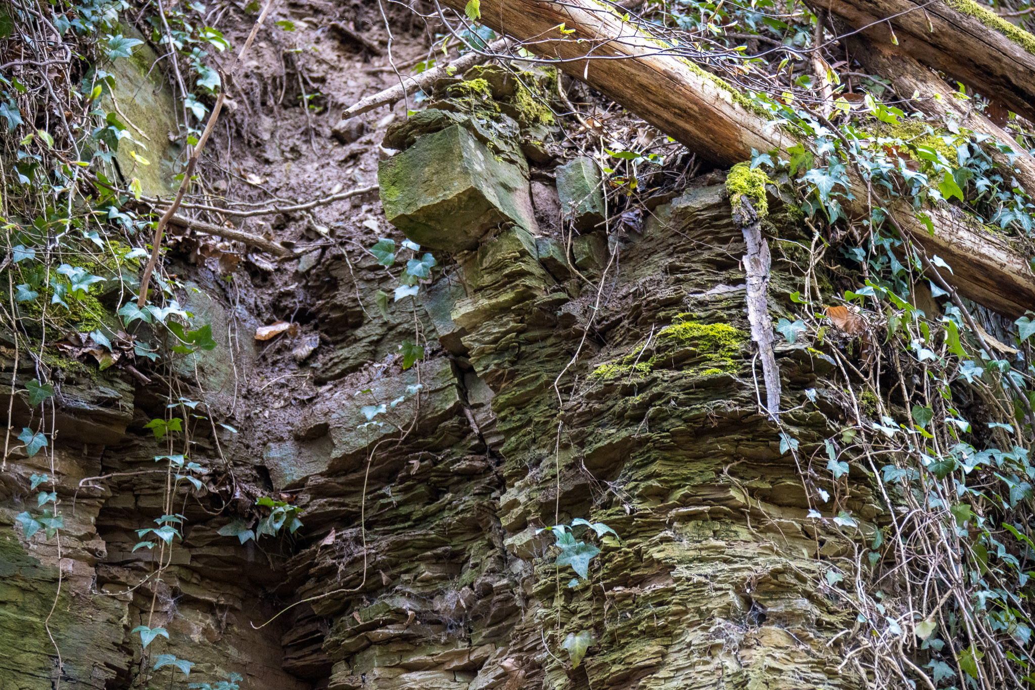 20220410112452 R5D 2006